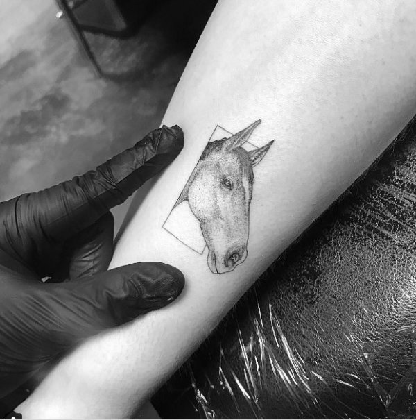 Снимка: Instagram
