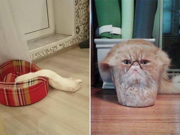 Снимка: Facebook