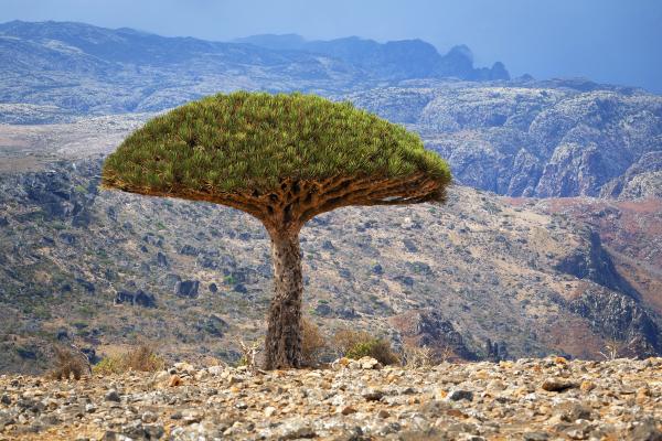 Снимка: Thinkstock