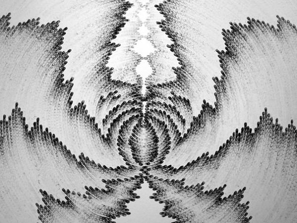 Снимка: judithannbraun.com