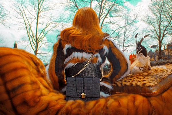 Снимка: Roberto Cavalli