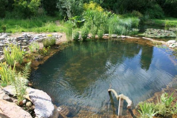 Снимка: NaturalSwimmingPools