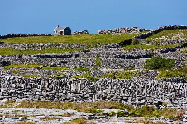 Снимка: Dochara; Irish Genealogy Toolkit; Gonomad; Wikitravel
