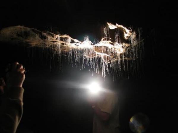 Свтвщата пещера Уайтомо (Waitomo Glowworm Cave) - Нова Зеландия, Снимка: mediadump.com