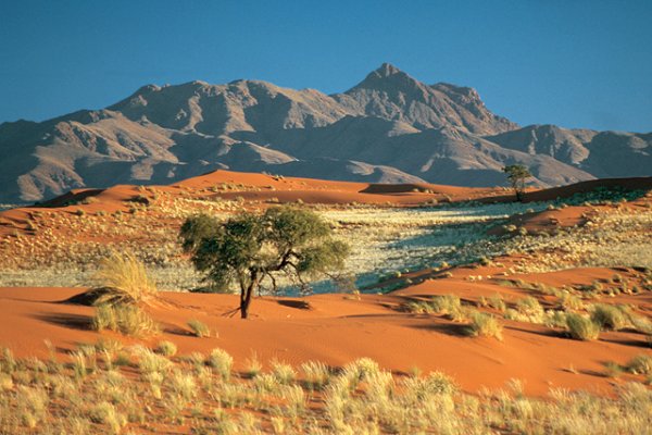 Снимка: safari.co.uk
