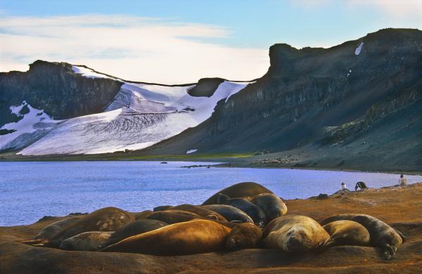 AntarcticaСнимка: DreamstimeАнтарктида е земя на крайности. Не е населена, защото е ужасно студено място. През 1983 учени записали рекордно ниски температури там: -89° C. Тя е също така известна като най-влажното място на Земята и същевременно най-сухото. Влажността не се дължи на валежи, но тъй като 98% от територията на тази пустиня е покрита с лед, технически погледнато тя съдържа огромно количество влага. От друга страна тя е и най-студеното място в света и получава минимално количество валежи - по-малко от 2 инча на година и именно това я определя като пустиня.