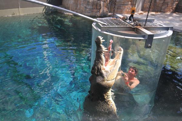 Снимка: crocosauruscove.com