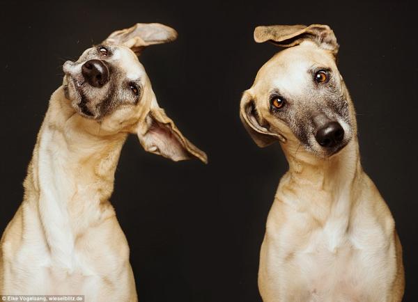Снимка: Elke Vogelsang