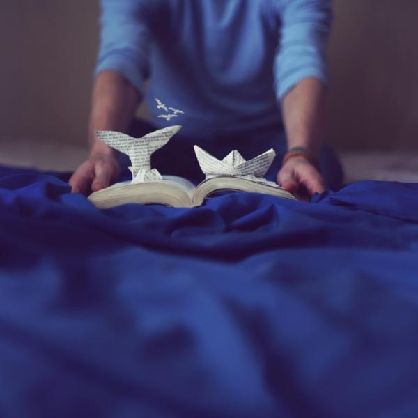 Снимка: Joel Robison