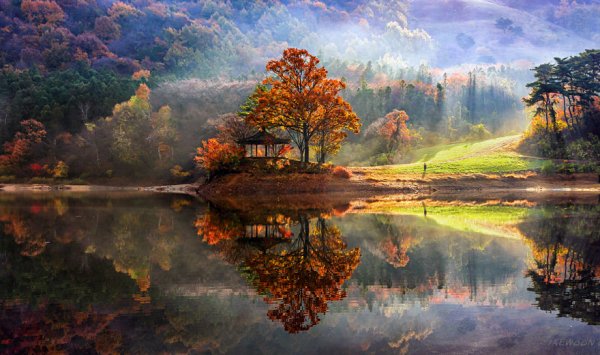 Снимка: Jaewoon U