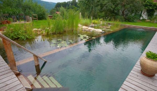 Снимка: NaturalSwimmingPools