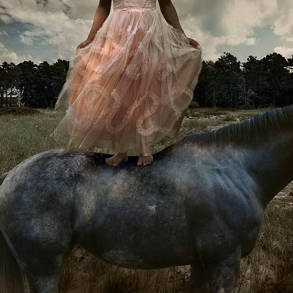 Снимка: Tom Chambers