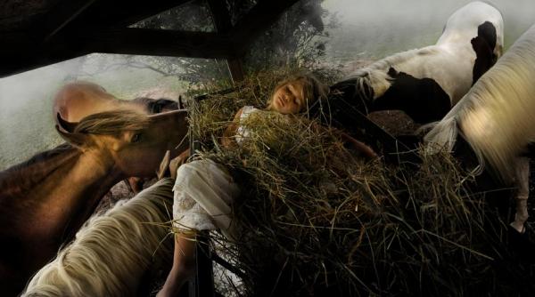 Снимка: Tom Chambers