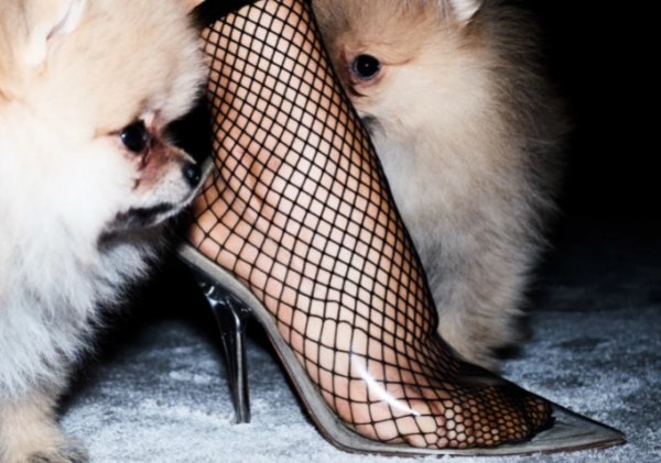Снимка: VioletGrey.com