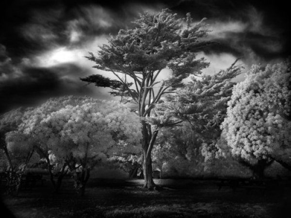 Снимка: Mitch Dobrowner