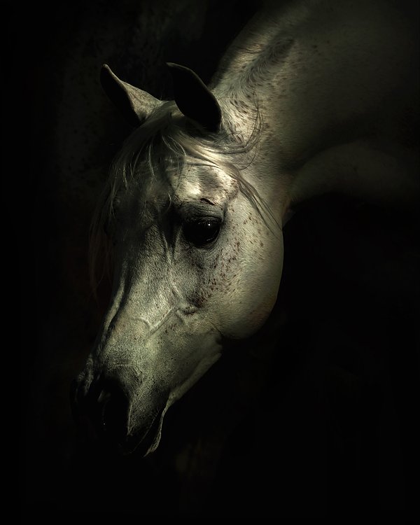 Снимка: Wojtek Kwiatkowski