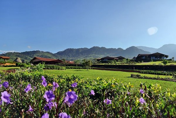Снимка: altagracia.cr