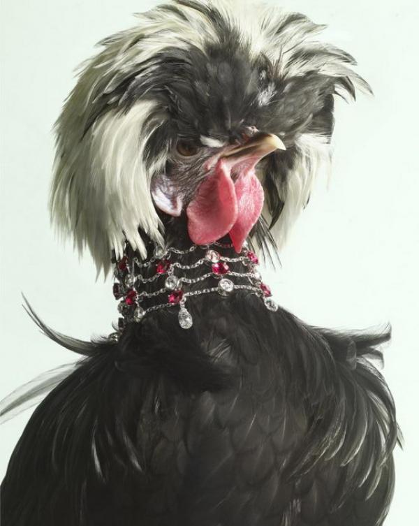 Снимка: Peter Lippmann