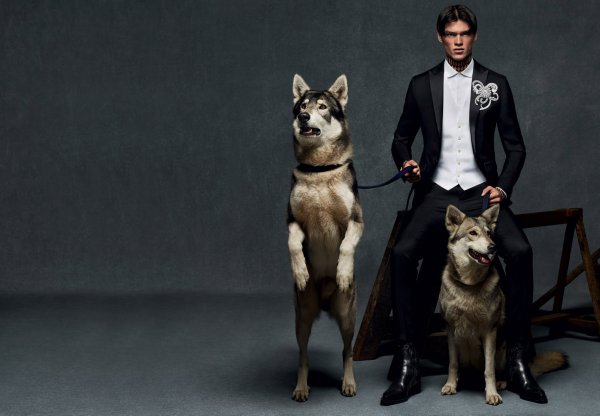 Снимка: Dsquared2