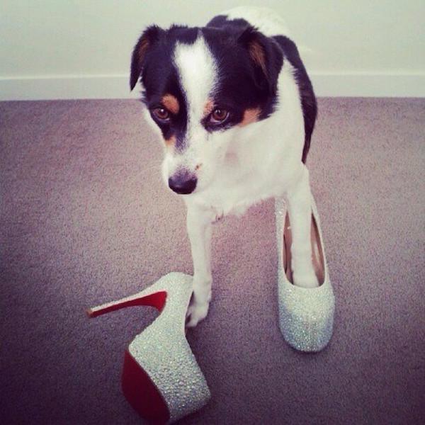 Снимка: Instagram