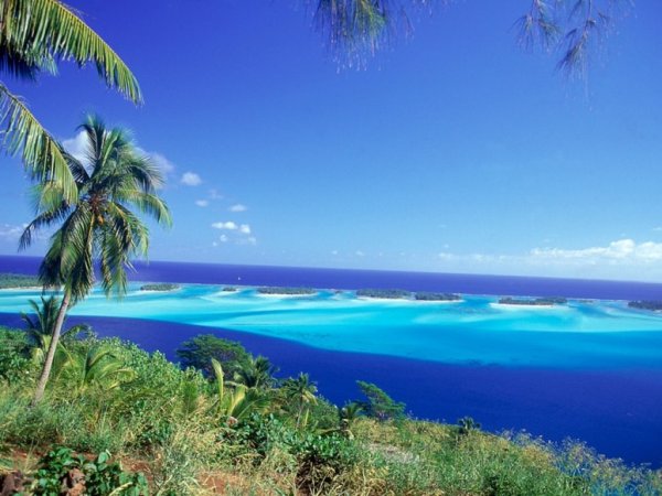 6. BORA BORA, Френска ПолинезияНад 200 малки островчета могат да бъдат вашия собствен рай за няколко часа. Много туристически агенции предлагат самостоятелни екскурзии до островите или както местните ги наричат „мотус“. Пътуването до някой от малките острови е с лодка, на която има осигурен обяд.Снимка: BARRY WINIKER