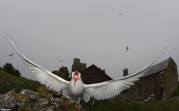 Снимка: Reuters