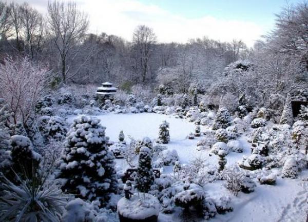 Снимка: Four Seasons Garden