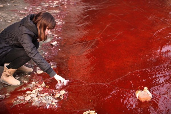 През 2011 г. водите на провинция Хенан бяха замърсени с химикали. Снимка: Reuters