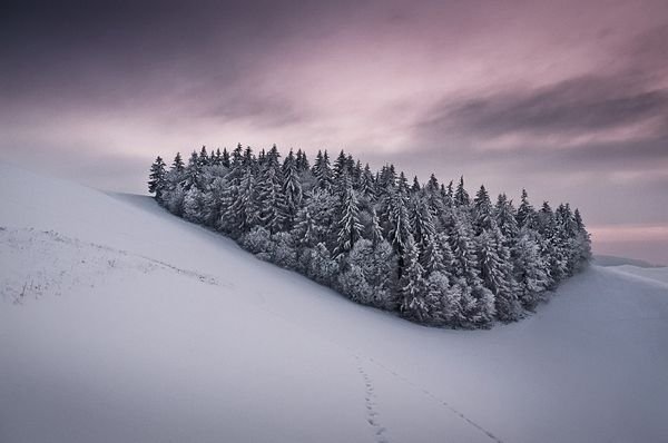 Снимка: acrisdesign.com