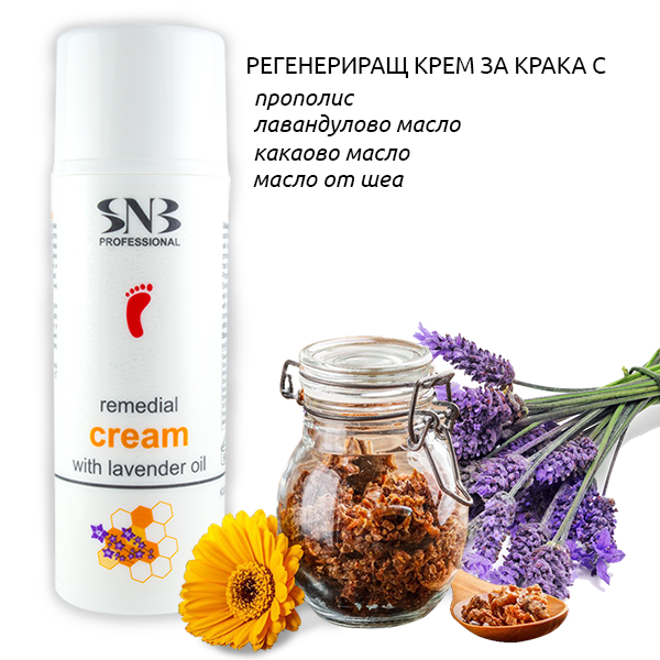 Снимка: SNB Professional