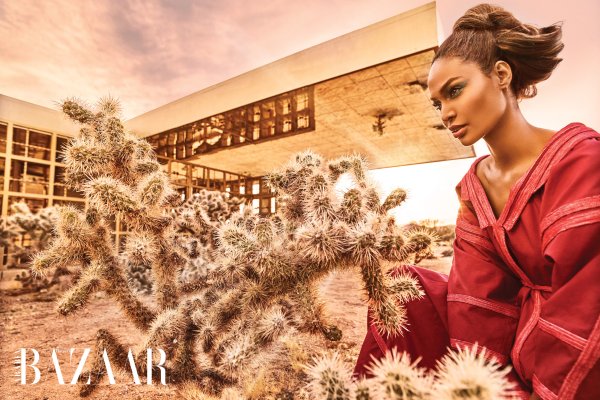 Снимка: Harper`s Bazaar