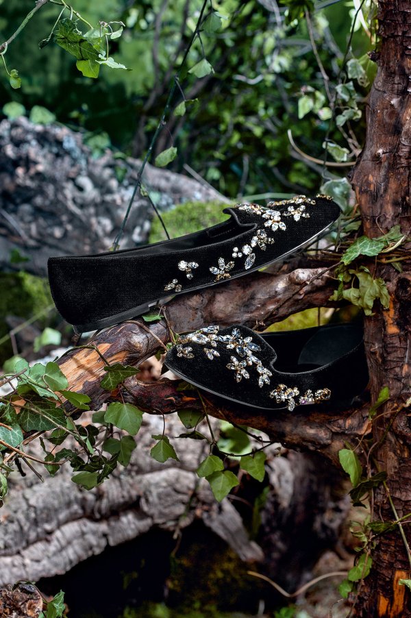 Снимка: Dolce & Gabbana