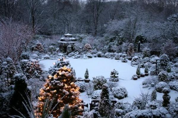 Снимка: Four Seasons Garden