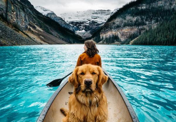 Снимка: Instagram