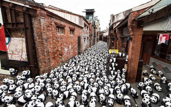 Снимка:  pandasworldtour.tw 