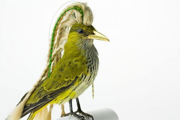 Снимка: designboom.com