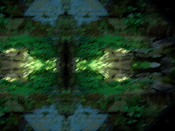 Снимка: Kazuhiko Kawahara