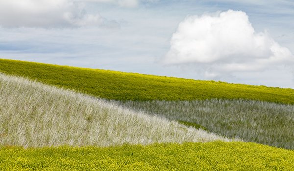 Снимка: luminous-landscape.com