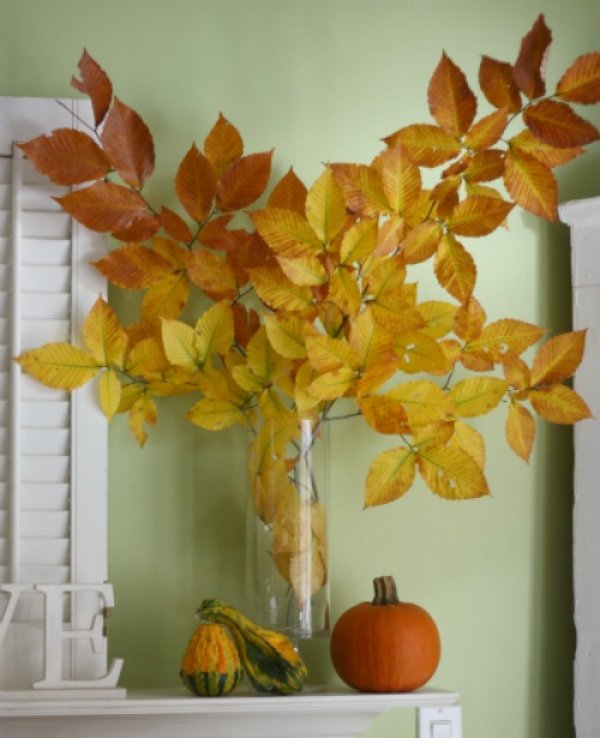 Снимка: thefrugalhomemaker.com