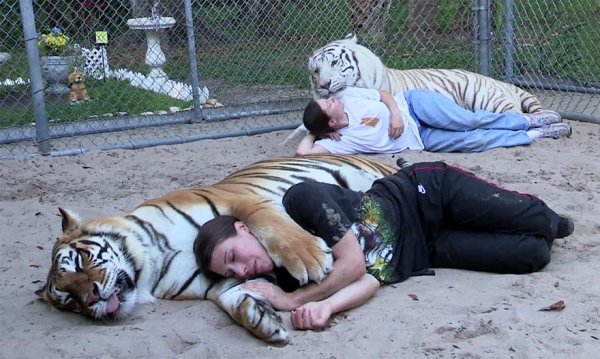 Снимка: BoredPanda