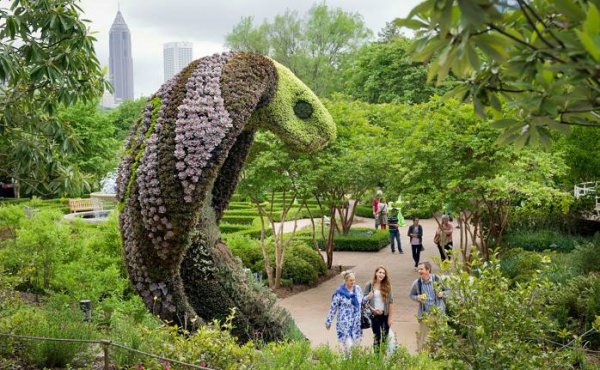 Снимка: Atlanta Botanical Gardens