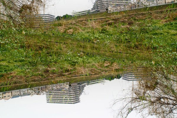 Снимка: Kazuhiko Kawahara