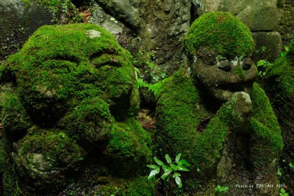 Снимка: neverendingvoyage.com