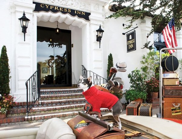 Снимка: mydomaine.comХотел "Cypress Inn" в Калифорния е известен бутиков хотел в Кармел, създаден през 1929 г. 
