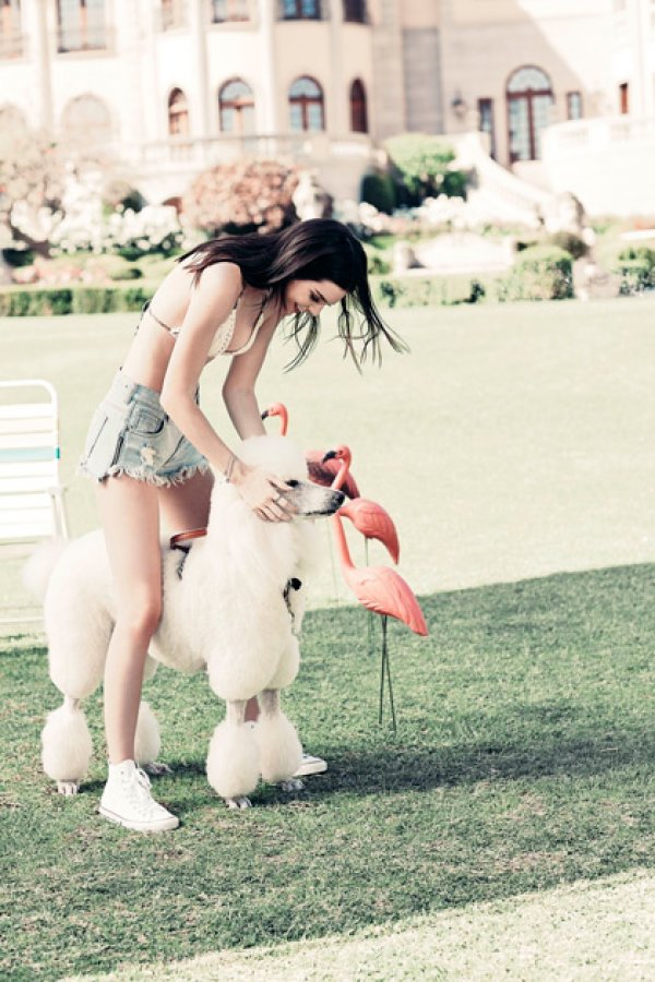 Снимка: Harper Smith/PacSun