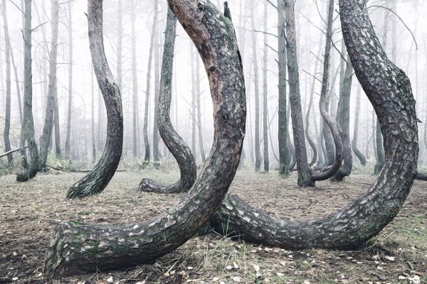 Снимка: Kilian Schoenberger Photography