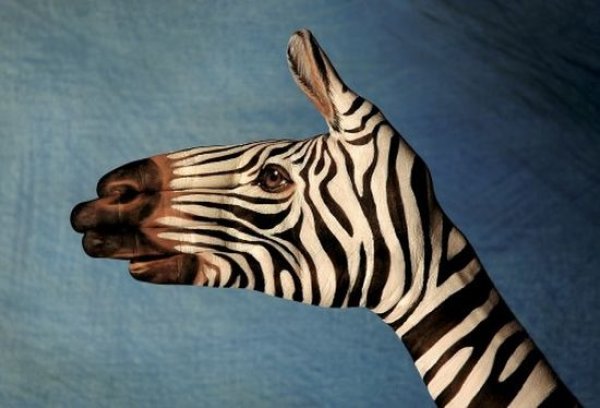 Снимка: Guido Daniele