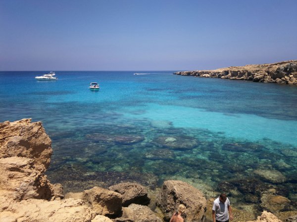 Снимка: simila-cyprus.com