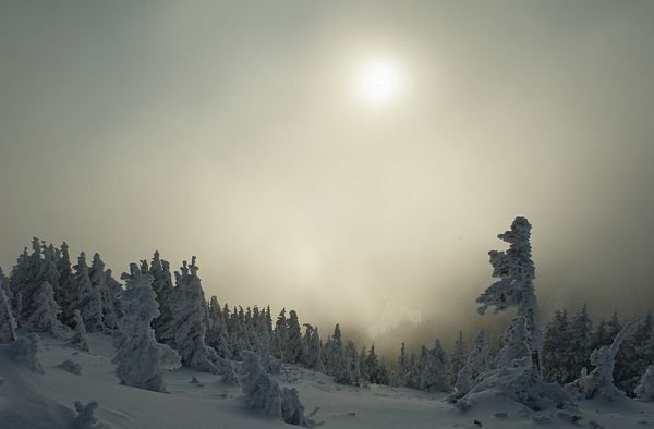 Снимка: acrisdesign.com