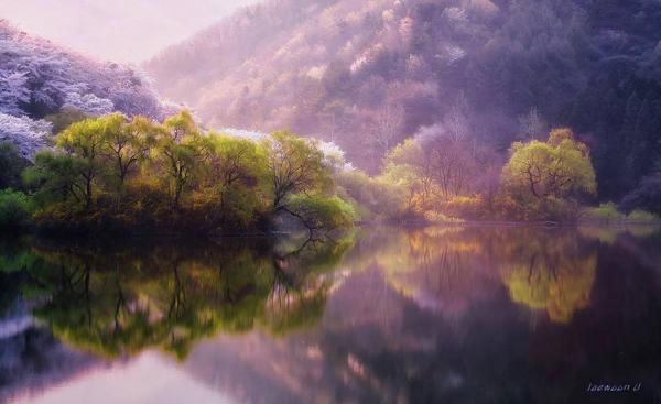 Снимка: Jaewoon U